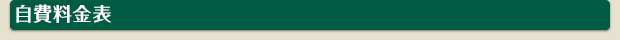 自費料金表